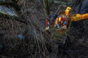 Municipal service workers stand with a chainsaw in a crane basket and trim dangerous trees photo