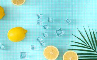Summer creative layout made with lemons, ice cubes and tropical green palm leaf on white and blue background. Minimal summer fruit concept. Lemons aesthetic. Flat lay, top of view. photo