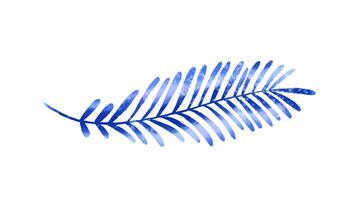 Jungle collection with palms, leaves and monstera leaf. Botanica vector