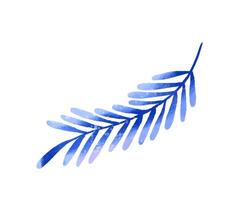 Jungle collection with palms, leaves and monstera leaf. Botanica vector