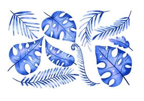 Jungle collection with palms, leaves and monstera leaf. Botanica vector
