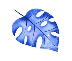 Jungle collection with palms, leaves and monstera leaf. Botanica vector