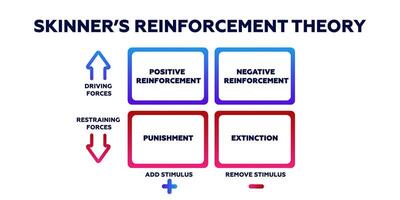 Skinners reinforcement theory. Psychological behavior and impact of stimulating factors vector
