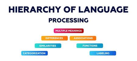 Hierarchy of language diagram. Infographic on similarities and functions with data vector