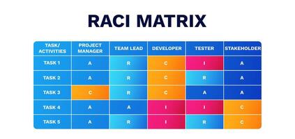 Raci matrix chart. Business with accountable assignment and marketing decision model vector