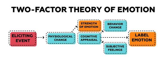 Two factor theory of emotion. Identification of emotional cognitive behavior vector