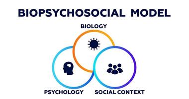 Biopsychosocial model infographic. Psychology of biology and social context with presentation of character types vector