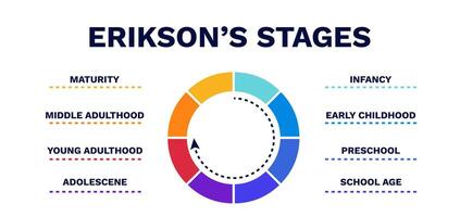 Eriksons stages. Maturity and infancy of logical with model vector
