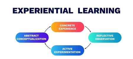 Experiential learning model diagram. Pie chart with marketing development analysis and management vector