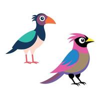 Two birds with different colors and one of them is pink vector