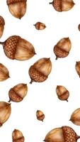A rotating pattern of realistic acorns on a white background, perfect for autumn themed designs, Thanksgiving decor, and nature inspired projects video