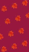 Vibrant autumn orange maple leaves on a deep burgundy background, perfect for Thanksgiving and fall themed designs, with a non repeating rotated pattern video
