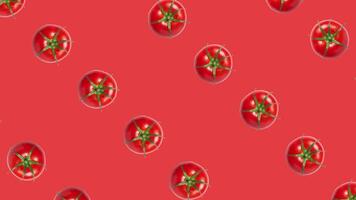 Vibrant fresh tomatoes arranged on a red background with a rotating pattern, ideal for summer cooking, salsa recipes, and Thanksgiving harvest themed designs video