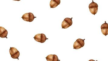 Rotating pattern of autumn acorns on a white background, perfect for fall themed designs and Thanksgiving decorations video