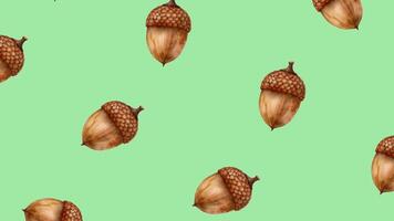 Pattern of rotating acorns on a light green background, ideal for autumn and Thanksgiving themes video