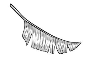 Palm leaf illustration in linear style. Outline Drawing of banana tree branch painted by black inks on isolated background. Etching of exotic tropical plant for greeting cards or invitations vector
