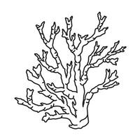 Coral illustration. Etching of seaweed painted by black inks in outline style. Etching of Kelp for coloring books or icon. Line art drawing of reefs on isolated background. vector