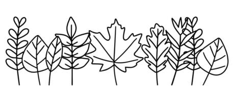 Autumn leaves set isolated on a white background. vector