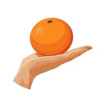 Freshly and healthy red orange in the palm of the hand isolated on white background. illustration in flat style with dietary fruit. Clipart for card, banner, flyer, poster design vector