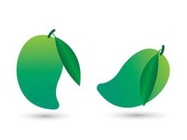 Green fresh mango with leaf on white background vector