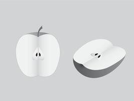 Slice of apples into half on white page vector