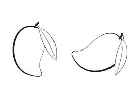 Black and white mango with leaf on white page vector