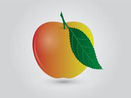 A yellow and reddish apple with green leaf on white background vector