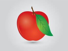 A sweet red apple with leaf on white background vector