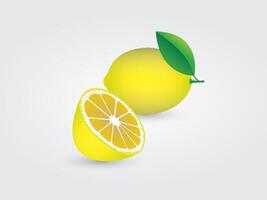 A half sliced and round yellow citrus or lemon with leaf illustration vector