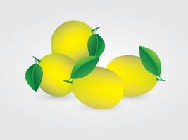 A group of yellow citrus or lemon on white background illustration vector