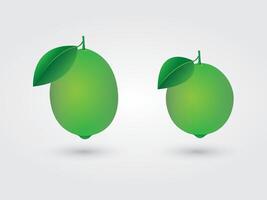 Green citrus or lemon with leaf and different size and shape illustration vector