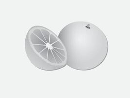 Drawing of a sliced and full orange on white page illustration vector