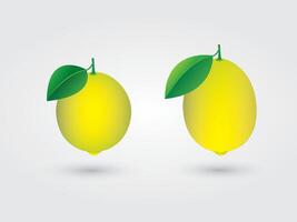Yellow citrus or lemon for juice making illustration vector