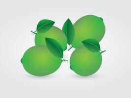 A group of green citrus or lemon in white background illustration vector