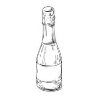 A close bottle with champagne, a wrapper and an empty white label. Line art is a simple hand-drawn illustration in black and white ink. Isolated EPS object. vector