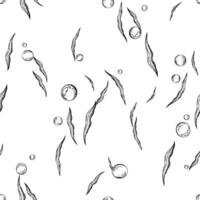Algae leaves and water bubbles. Marine illustration of the underwater world, graphically drawn in black ink. seamless pattern in EPS vector