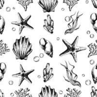Shells, starfish, corals, algae, sea sponges and bubbles. Marine illustration of the underwater world, graphically drawn in black ink. seamless pattern in EPS vector