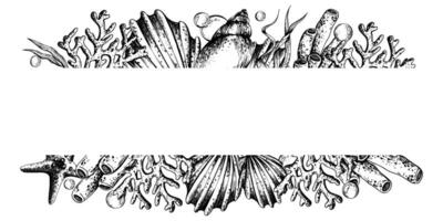 Shells, corals, starfish, algae and bubbles. Marine illustration of the underwater world hand drawn in black ink graphically. frame template horizontal in EPS. vector