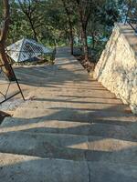 A set of concrete stairs with a stone wall leading up a grassy hill in the woods. photo