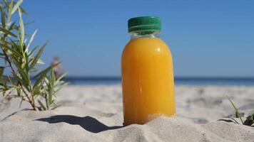 On the seashore, a plastic bottle with orange juice and a green lid stands in the sand next to a small green bush. Orange juice looks refreshing against the beach setting, inviting a tropical vibe. video