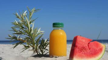 Orange juice in a plastic bottle and a piece of watermelon next to a green bush on the sand near the sea and blue sky. Refreshing orange juice with a slice of watermelon, set against a beach backdrop. video