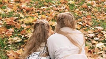 el familia tiene divertido en el parque. el niña y madre mentira en un cobija con su espaldas a el cámara y Mira a el otoño hojas. video