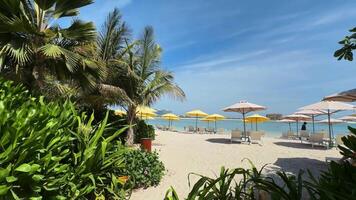 aéreo Visão de praia areia fundo para verão período de férias conceito. de praia natureza e verão água do mar com luz solar luz arenoso de praia espumante . Alto qualidade 4k cenas video