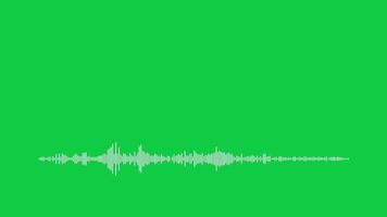 Audio spectrum soundwave visualizer loop animation on green screen background video