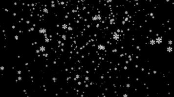 Snow falling particles animation on a transparent background video