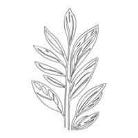 parallel leaf floral outline illustration sketch vector