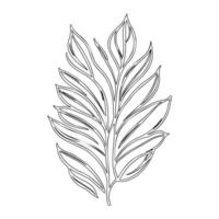parallel leaf floral outline illustration sketch vector