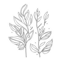 parallel leaf floral outline illustration sketch vector