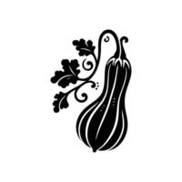 Ornate Squash Silhouette - High-Quality Illustration for Menus, Recipes, and Food Branding - Ideal for Web and Print Use vector