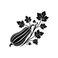 Artistic Squash Silhouette - Premium Design for Digital Projects, Menus, and Branding - Perfect for Web and Print vector